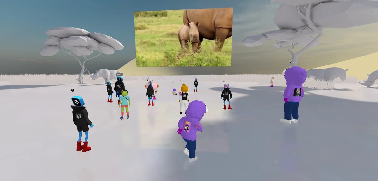 Bindi in the metaverse